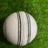 White Genuine Leather hard ball Pack of 6 for Cricket 4 Piece Hard Ball Hand Made