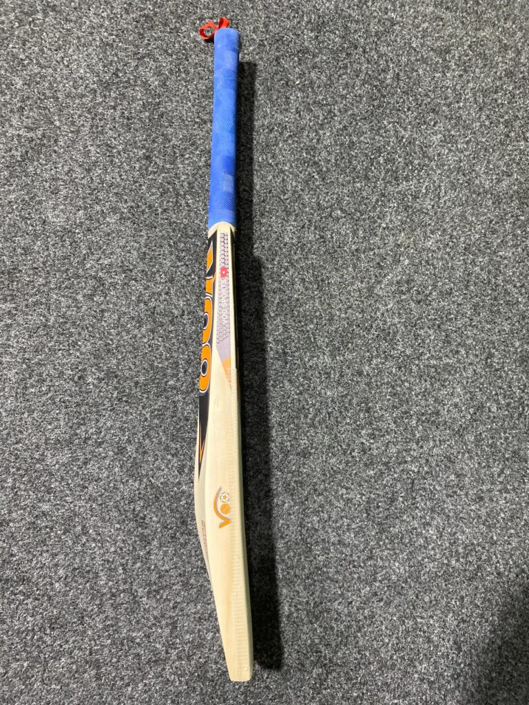 Kashmir Willow Bat | Elite Edition photo review