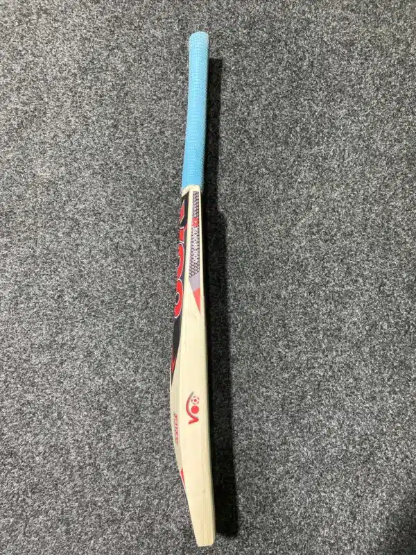Kashmir Willow Bat | Elite Edition